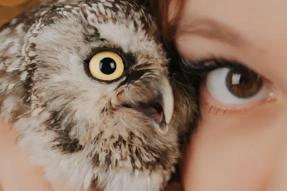 Casino Royal Winner Tugi